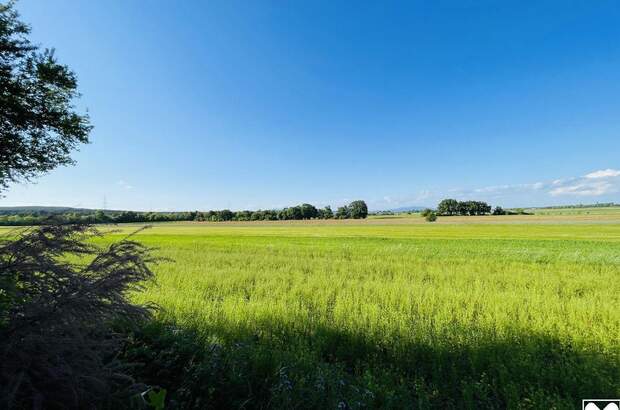 Haus kaufen in 2751 Steinabrückl (Bild 3)