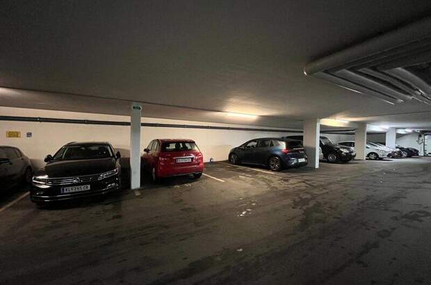 Halle / Lager / Produktion kaufen in 9201 Krumpendorf (Bild 4)