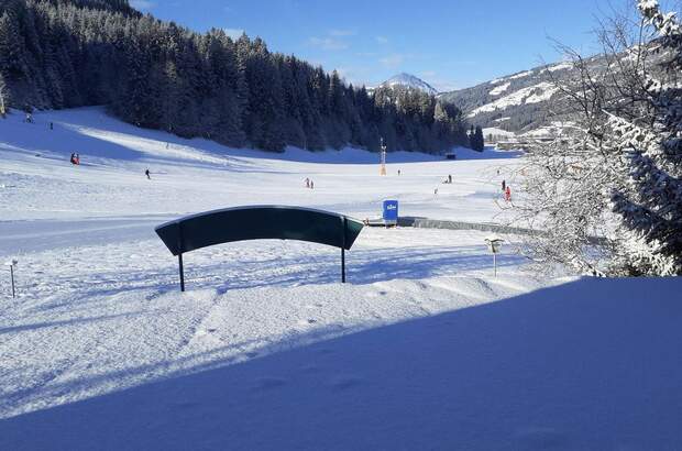 Terrassenwohnung mieten in 6365 Kirchberg (Bild 3)