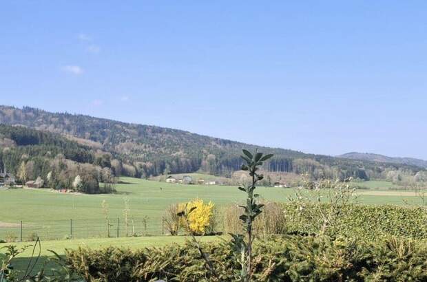 Grundstück kaufen in 4880 Berg (Bild 1)