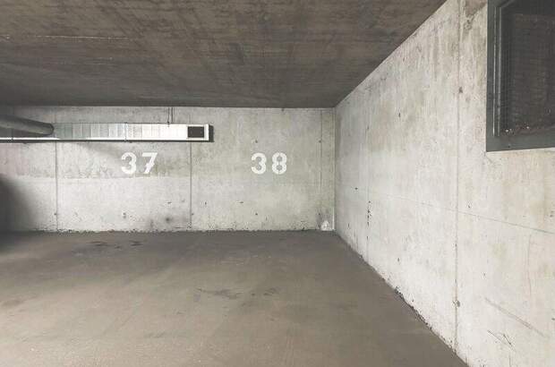 Halle / Lager / Produktion mieten in 1210 Wien (Bild 5)