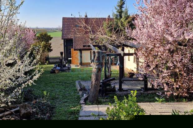 Haus mit Garten kaufen in 3430 Chorherrn (Bild 2)