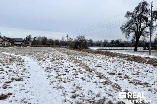 Grundstück kaufen in 4070 Pupping (Bild 1)