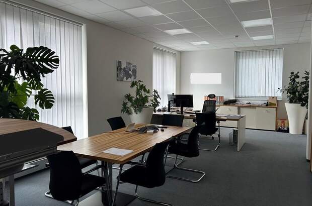 Gewerbeobjekt mieten in 8020 Graz (Bild 3)