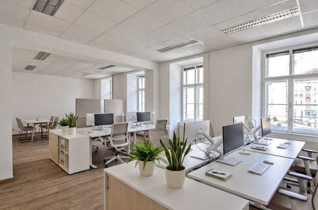 Gewerbeobjekt mieten in 1020 Wien (Bild 2)