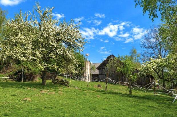 Haus mit Garten kaufen in 2852 Gschaidt (Bild 1)