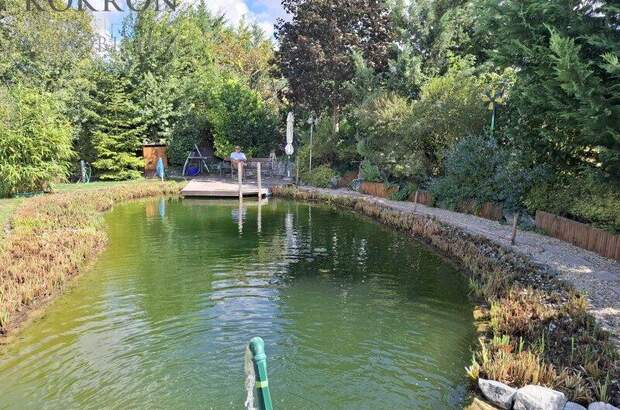 Einfamilienhaus kaufen in 2440 Gramatneusiedl (Bild 4)