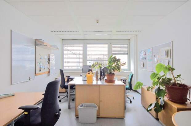 Gewerbeobjekt mieten in 1200 Wien (Bild 2)