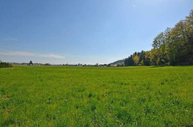 Grundstück kaufen in 5223 Pfaffstätt (Bild 2)