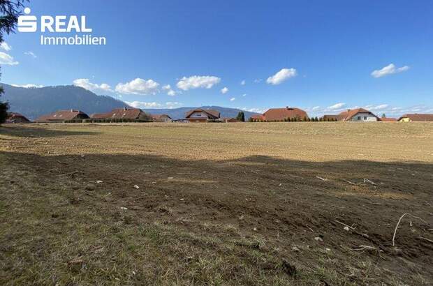 Grundstück kaufen in 8670 Krieglach (Bild 3)