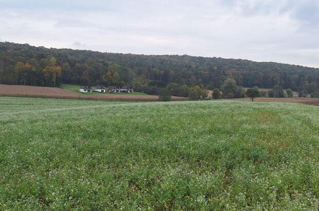 Gewerbeobjekt kaufen in 8354 Waltra (Bild 3)