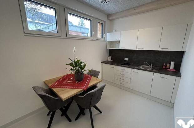 Gewerbeobjekt mieten in 4072 Alkoven (Bild 4)