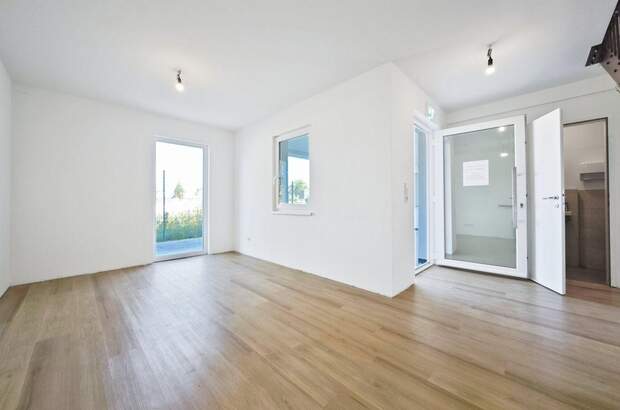 Gewerbeobjekt mieten in 3425 Langenlebarn (Bild 4)