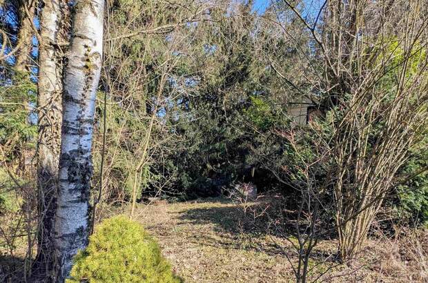 Grundstück kaufen in 3012 Wolfsgraben (Bild 3)