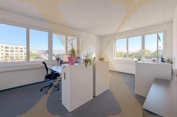Büro / Praxis mieten in 4060 Leonding (Bild 1)