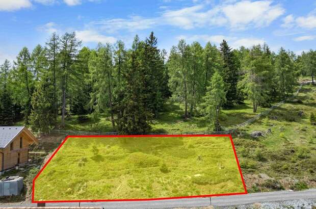 Grundstück kaufen in 9853 Gmünd (Bild 4)