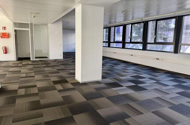 Gewerbeobjekt mieten in 8020 Graz (Bild 3)