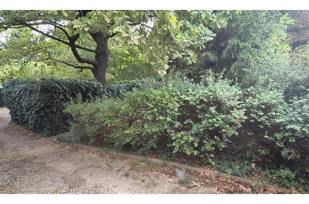 Grundstück kaufen in 2103 Langenzersdorf (Bild 4)