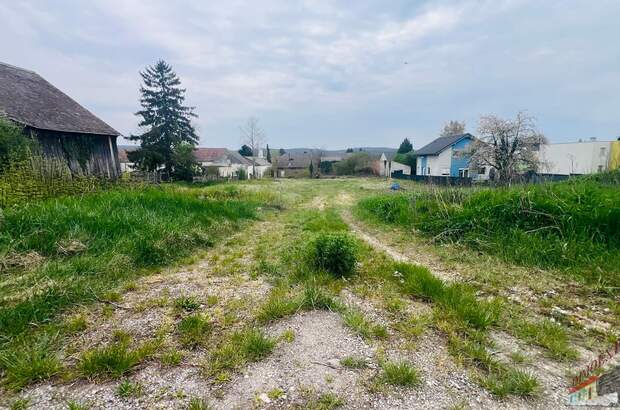 Grundstück kaufen in 2111 2111 Harmannsdorf (Bild 3)