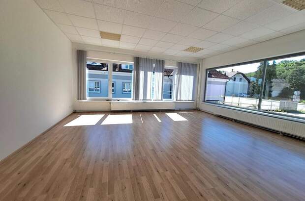 Gewerbeobjekt mieten in 3100 St. Pölten (Bild 4)