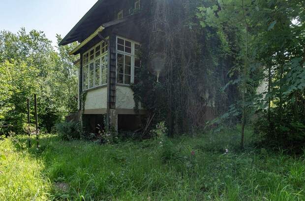 Grundstück kaufen in 4020 Leonding (Bild 5)