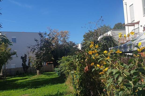 Mietwohnung in 8053 Graz (Bild 5)