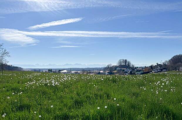 Wohnung kaufen (Bild 5)