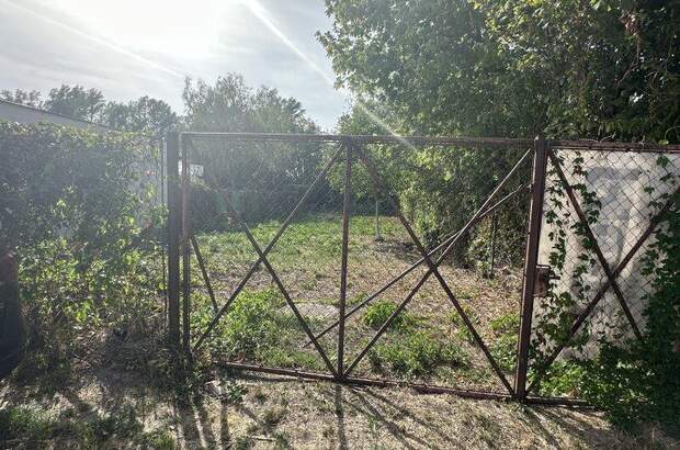 Grundstück kaufen in 2491 Neufeld (Bild 2)