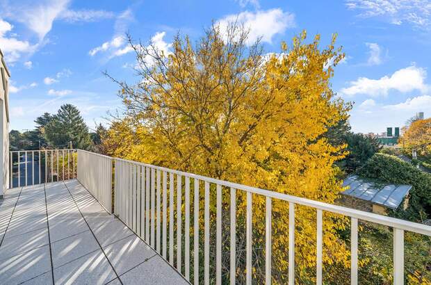 Terrassenwohnung kaufen in 1220 Wien (Bild 4)