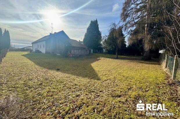 Haus kaufen in 4910 Ried (Bild 1)