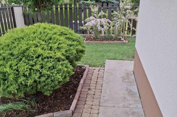Haus mit Garten kaufen in 8654 Ságvár (Bild 3)