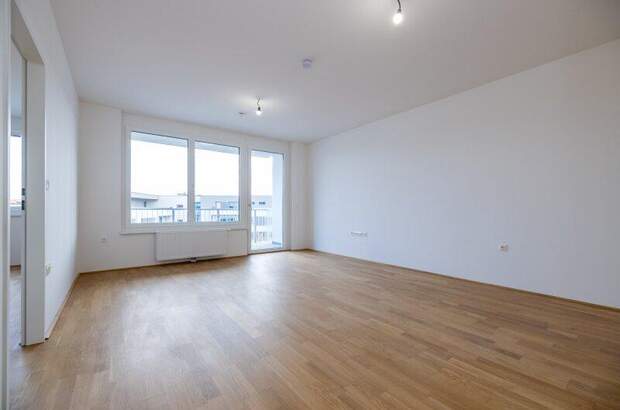 Terrassenwohnung mieten in 2700 Wr. Neustadt (Bild 1)