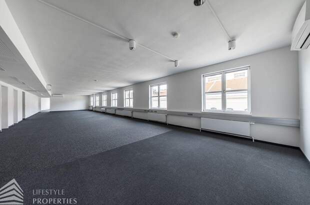 Gewerbeobjekt mieten in 1010 Wien (Bild 1)