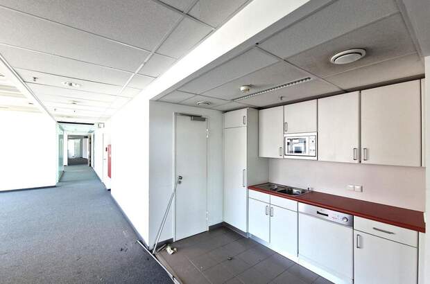 Gewerbeobjekt mieten in 1220 Wien (Bild 3)