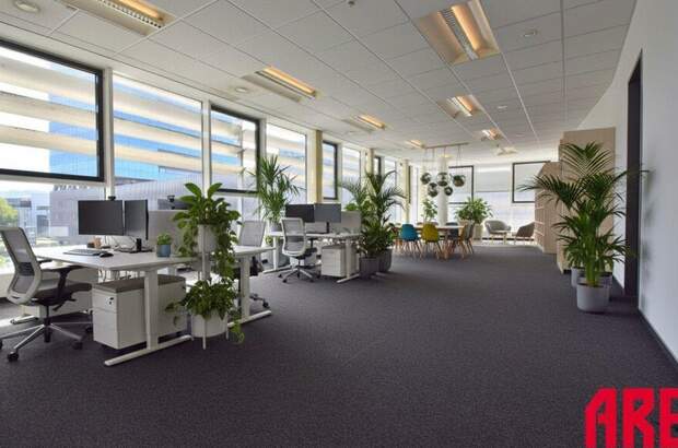 Gewerbeobjekt mieten in 4020 Linz (Bild 2)