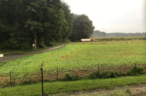 Terrassenwohnung mieten in 8472 Straß (Bild 4)
